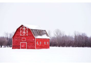 Bright Red Barn 24 x 36 Print - SF472436