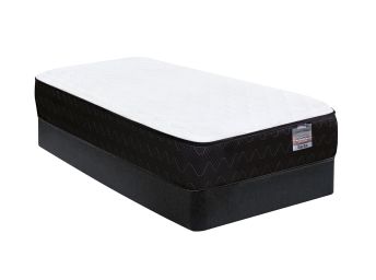 Chiro Firm Twin Set - CHROTW20