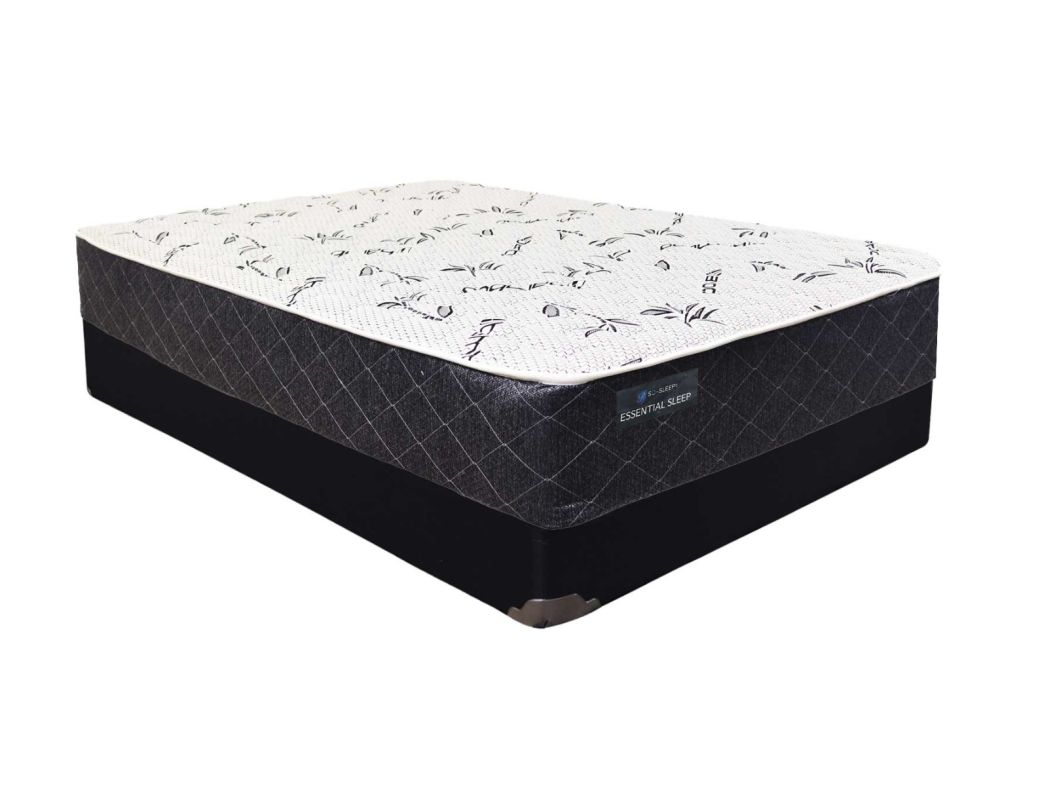 Essential Sleep Twin Mattress Set - ESSSTW20