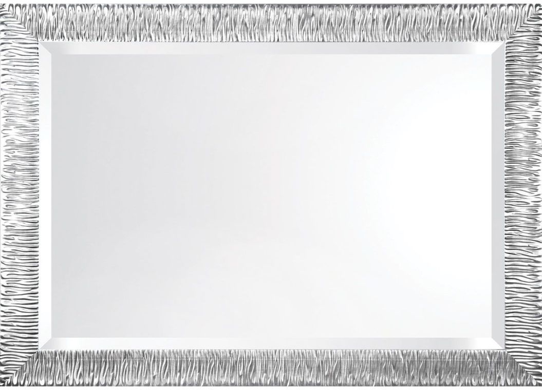 Zebra Silver 22x28 Mirror - ZSIL2228